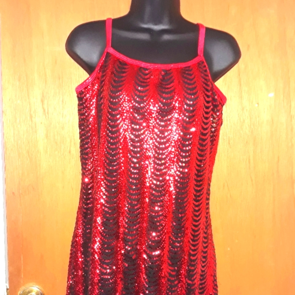 1920's red ♥️ vintage sequins inspired dress